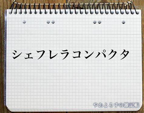 炭 風水|「炭」の風水での解釈 